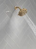 Fixed 5-Setting Showerhead