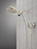 PivotPro&trade; 3-in-1 Combination Shower