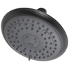 Porter Shower Head