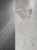 Single-Setting Shower Head