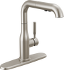 Pull-Out Kitchen Faucet (Recertified)