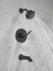 Monitor&reg; 14 Series Tub and Shower