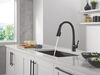 Single Handle Pull-Down Kitchen Faucet With ShieldSpray&reg;&nbsp;Technology in Matte Black