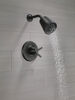 17 Series Shower Trim with Cylinder SH