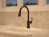 Single Handle Pull-Down Kitchen Faucet