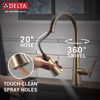 Pull-Down Kitchen w/ShieldSpray (Recertified)