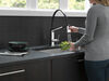 Pull-Down Kitchen Faucet w/Exp. Hose (Recertified)