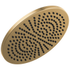 Single-Setting Metal Raincan Shower Head