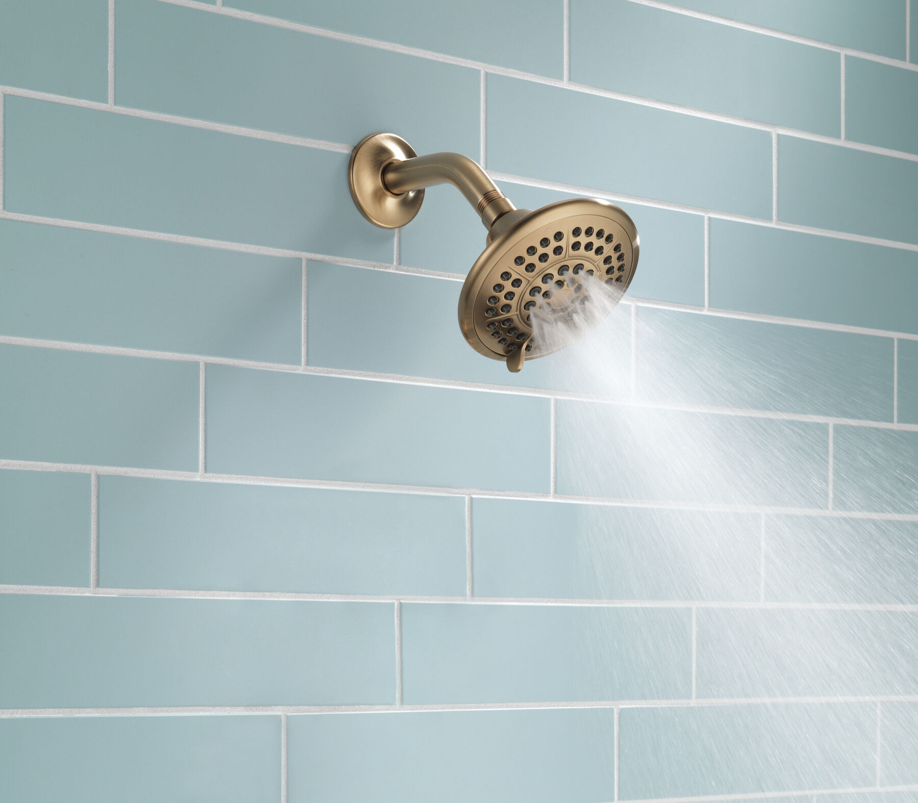5-Setting Raincan Shower Head