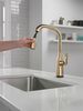Touch<sub>2</sub>O&reg;  Pull-Down Kitchen w/ Voice (Recertified)