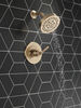 Monitor&reg; 14 Series Shower Trim