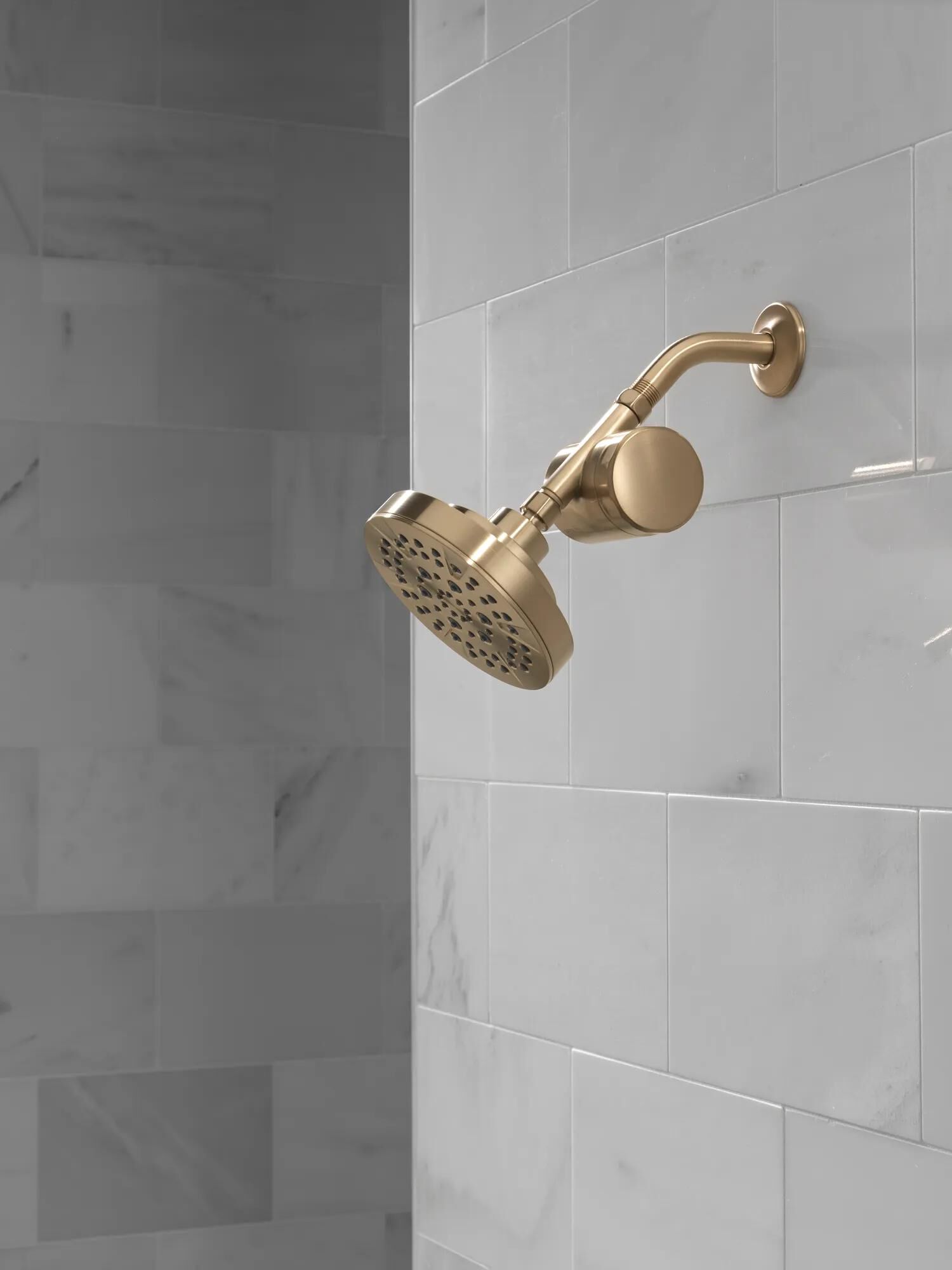 Standard Shower Filter Attachment in Champagne Bronze 7SF100-CZ