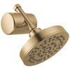 Standard Shower Filter with Shower Head Bundle