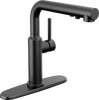 Pull-Out Kitchen Faucet (Recertified)