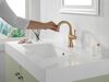 Single Handle Pull Down Bathroom Faucet