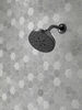 H2Okinetic&reg; 5-Setting Shower Head