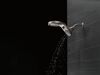 HydroRain&reg; 5-Setting Two-in-One Shower Head