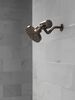Premium Shower Filter with Extra Filter Bundle