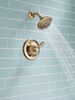 Shower Trim 14S (Recertified)