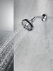 Shower Head 2.5 GPM 6-Setting (Recertified)