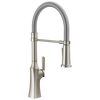 Spring Kitchen Faucet (Recertified)