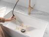 Pull-Down Kitchen w/ProClean Spray (Recertified)
