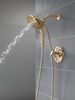 17 Series Shower Trim (Recertified)