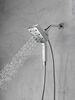 H<sub>2</sub>Okinetic&reg; In2ition&reg; 4-Setting Two-in-One Shower (Recertified)