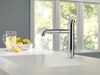 Pull-Out Kitchen Faucet (Recertified)