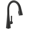 Pull-Down Kitchen Faucet (Recertified)