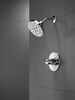 Monitor&reg; 14 Series H2Okinetic&reg; Shower