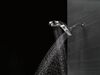 HydroRain&reg; 5-Setting Two-in-One Shower Head