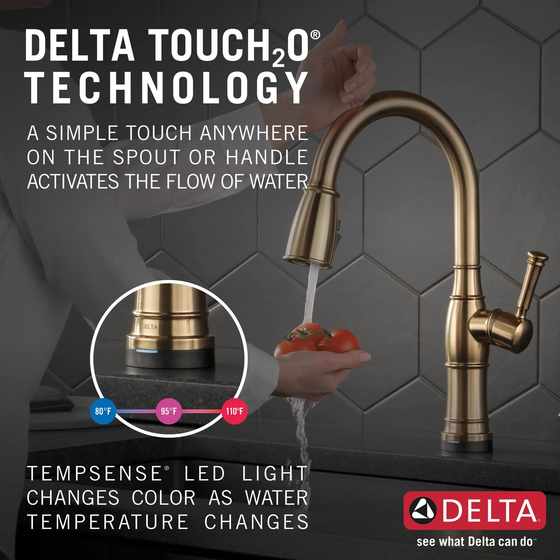 Single Handle Pull-Down Kitchen Faucet with Touch<sub>2</sub>O&reg; Technologyand Soap Dispenser