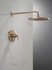 17 Series Shower Trim