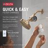 Standard Shower Filter with 6-Setting Showerhead and Mount Bundle