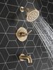 Monitor&reg; 14 Series Tub & Shower Trim