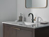 Single Lever Faucet - GZ (Recertified)