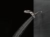 HydroRain&reg; 5-Setting Two-in-One Shower Head