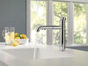 Pull-Out Kitchen Faucet (Recertified)