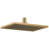 Single-Setting Raincan Shower Head