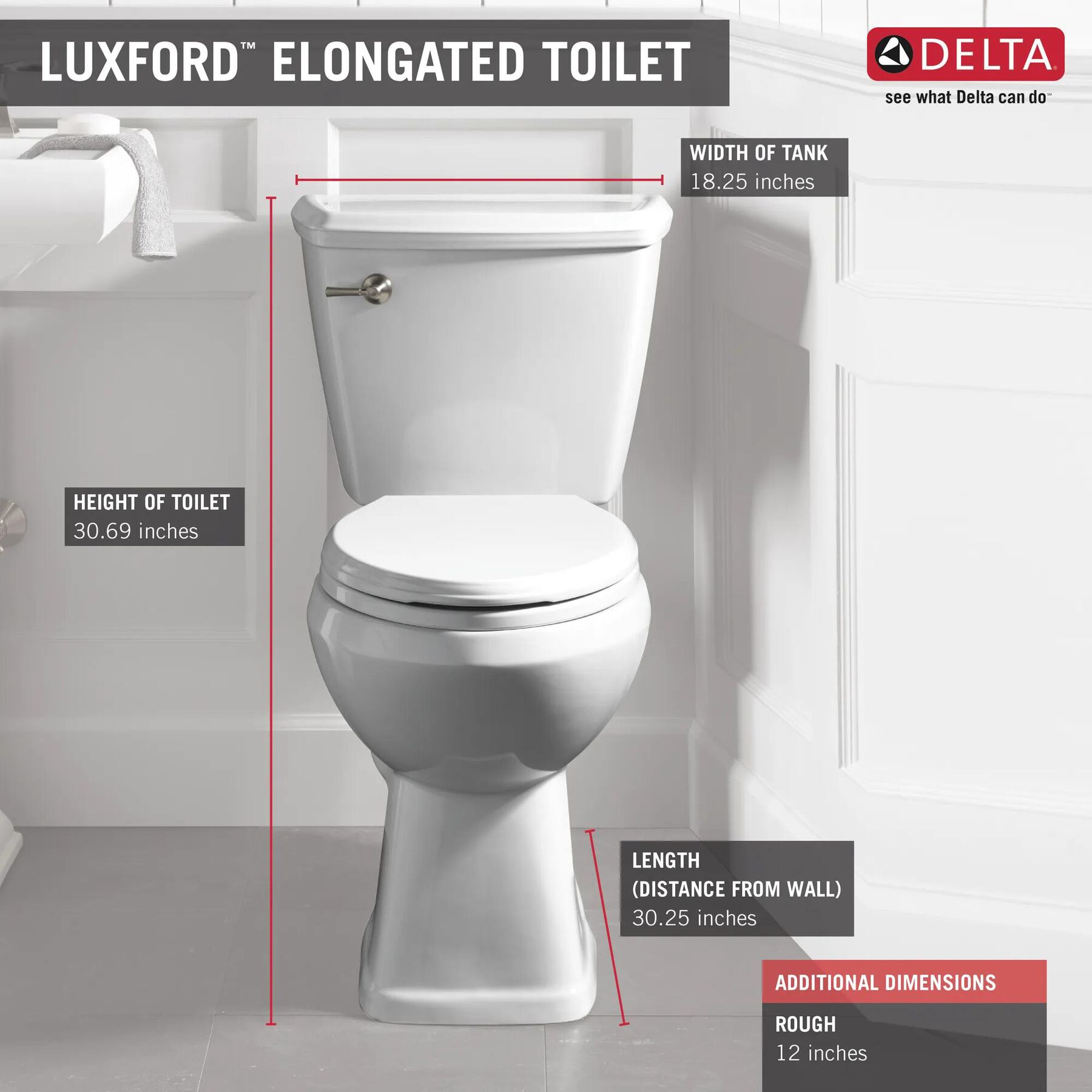 Elongated Toilet