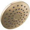 PivotPro&trade; Raincan Shower Head