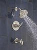 Monitor&reg; 14 Series Tub and Shower