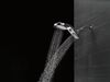 HydroRain 5-Setting Shower Head
