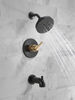 Monitor&reg; 14 Series H2Okinetic&reg; Tub and Shower