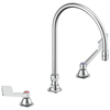 WIDESPREAD GOOSENECK