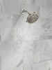 Fixed 5-Setting Showerhead