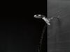 HydroRain 5-Setting Shower Head