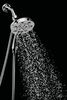 H<sub>2</sub>Okinetic&reg; In2ition&reg; 4-Setting Two-in-One Shower (Recertified)