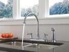 Two Handle Kitchen Faucet with Spray